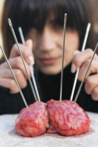 brain, mind, idea, fiction, pain, science, test, experiment, intelligence, neurology, thinking, memory, wisdom, health, genius, mental, medical, medicine, anatomy, human, i think, information, smart