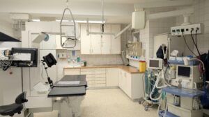 How AI is Revolutionizing Healthcare