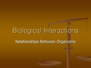 Biological Interactions