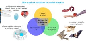 Bio-Inspired
