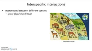 Biological Interactions