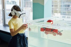 Robotics and Computer Vision