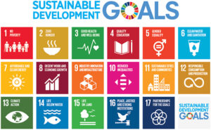 Sustainable Solutions