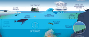 Acoustic monitoring