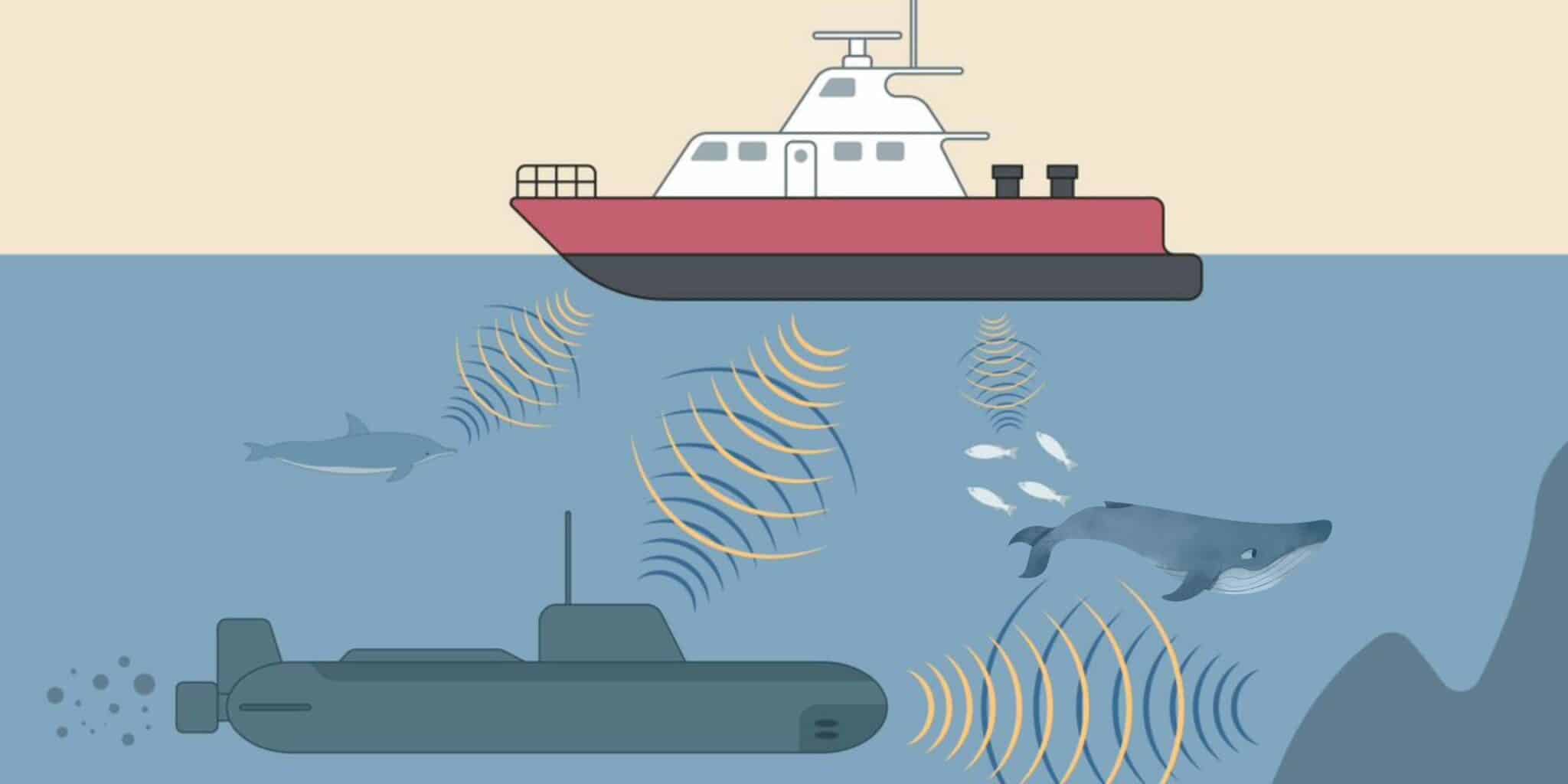 Acoustic monitoring