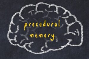Procedural Memory