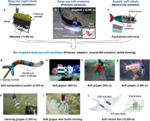 Biomimetic Models, Biomimicry, Bio-Inspired AI, Nature Inspired Technology, Artificial Intelligence, Robotics, Swarm Intelligence, Neural Networks, Sustainable Design, Future Technology