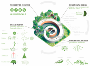 Biomimetic Models, Biomimicry, Bio-Inspired AI, Nature Inspired Technology, Artificial Intelligence, Robotics, Swarm Intelligence, Neural Networks, Sustainable Design, Future Technology